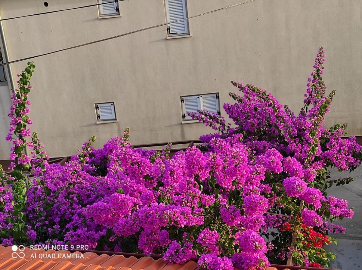 Apartments Iva Pakoštane Exteriér fotografie